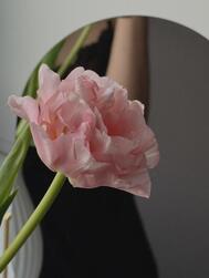 5/21의 감사