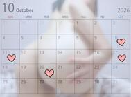 10월 예정🎀