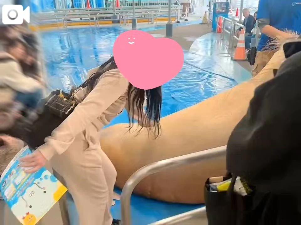 해수의 귀여움을 전하고 싶다.