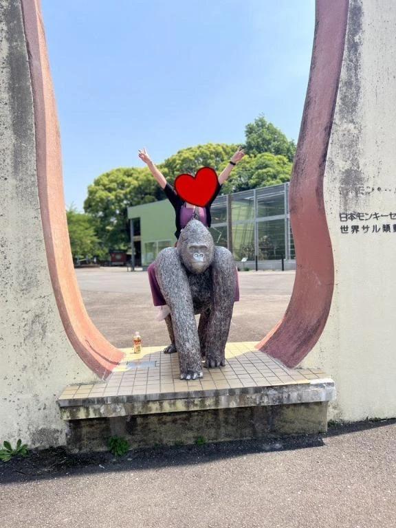 진짜 참치