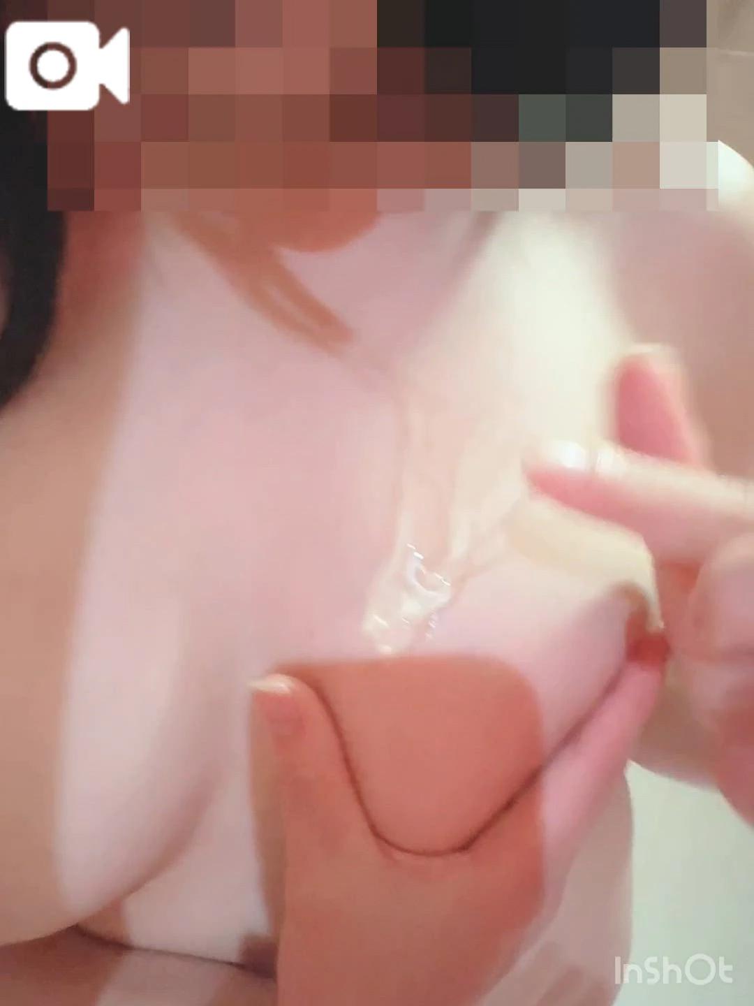 네트리파