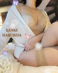 👙 내 즐겨찾기👙