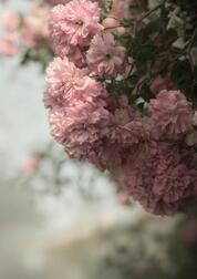 안녕하세요(^^)