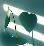 감사합니다💌