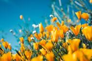 안녕하세요(^^)
