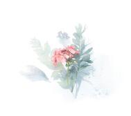 안녕하세요(^^)