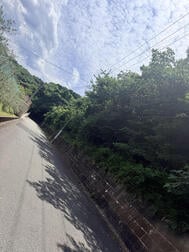 산