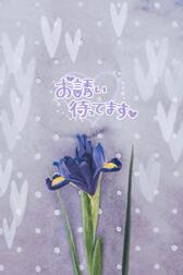 6월 전반의 출근 예정( *´꒳`*)♡