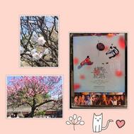 오늘 휴가♡(⁠◍⁠•⁠ᴗ⁠•⁠◍⁠)⁠✧⁠*⁠.