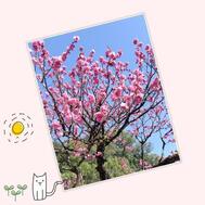 안녕하세요♡(⁠*•⁠ᴗ⁠•⁠*)⁠✧⁠*⁠.