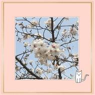 안녕하세요♡(*´∀｀*)♡