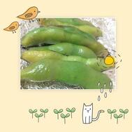 U님께 감사드립니다.