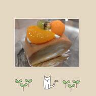 N님께 감사드립니다