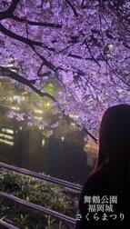 라이트업🌸