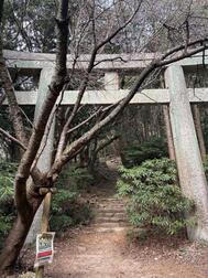 오늘은 산