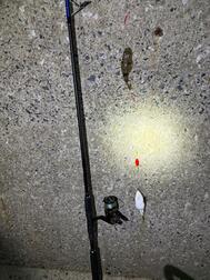 오랜만에