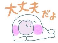 T 너에게