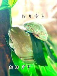 또한