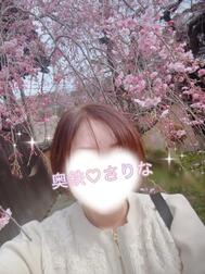 사♡쿠♡등