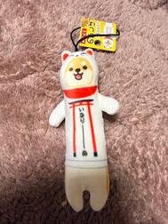 노비시바