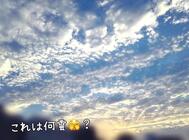 얼음의 성벽♡