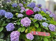 잘자요♡