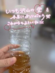 조카하마의 T씨, N군