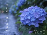 사과