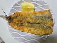사요테이