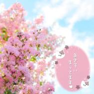 9월 전반의 출근 예정입니다( *´꒳`*)♡♡