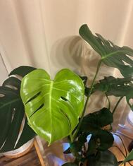 성장🌿🥹