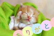 이봐 ... 느린 플레이 좋아요 ☺️🩷 토론했습니다.
