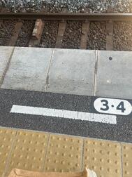 출근입니다.