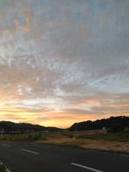 휴가
