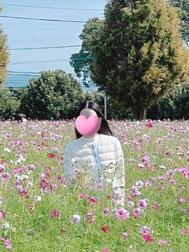 코스모스