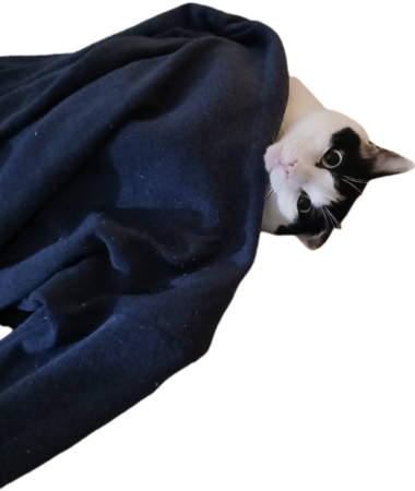 20261004_190632_a7f5e53e744f5adb1a411bdb399a2702.png