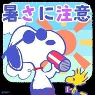 더위에 주의⚠️