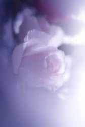 쉬세요♡♡
