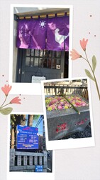 우연히, 아사가야