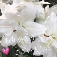 감사합니다 (재전송)