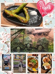 꽃놀이