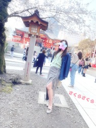 사쿠라 사쿠라 ♪