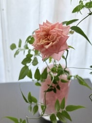 휴가♡