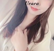 ※보고※