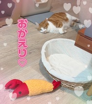 귀가했습니다♪♪