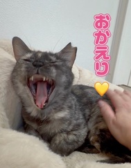 귀가했습니다♪♪