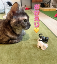 귀가했습니다•*¨*•.¸♬︎