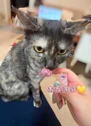 귀가했습니다♪♪