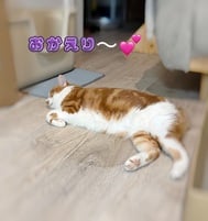 귀가했습니다•*¨*•.¸♬︎