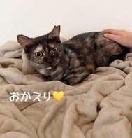 귀가했습니다•*¨*•.¸♬︎